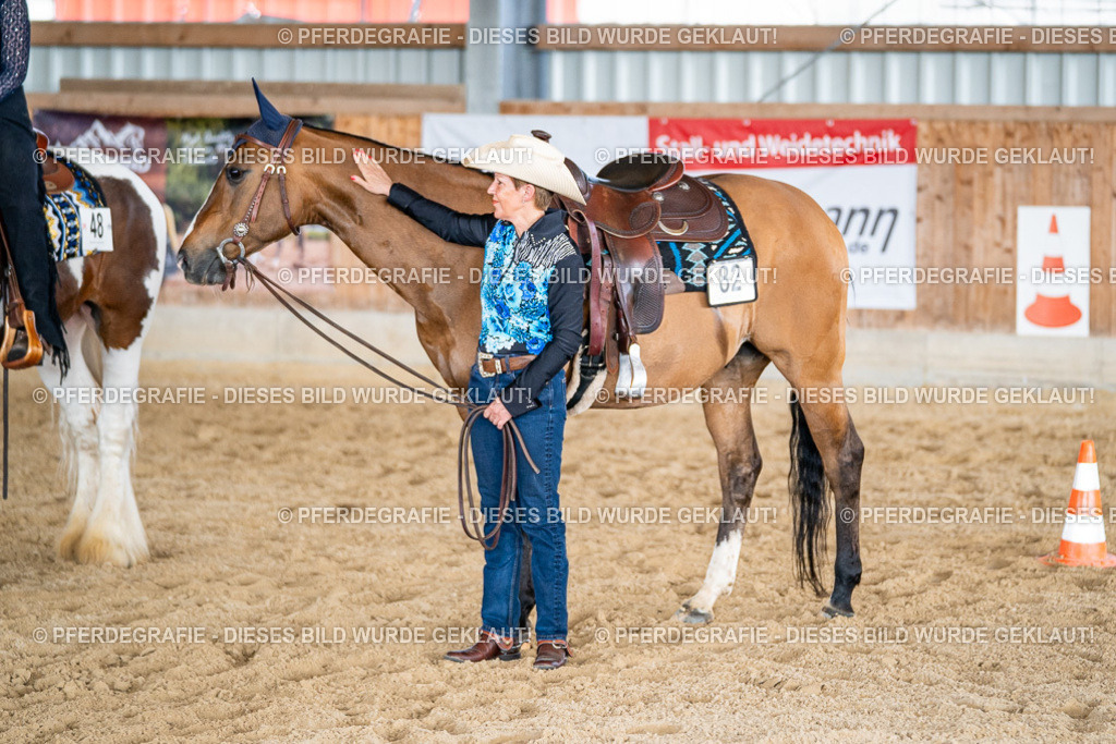 DSC09378 | Pferdegrafie