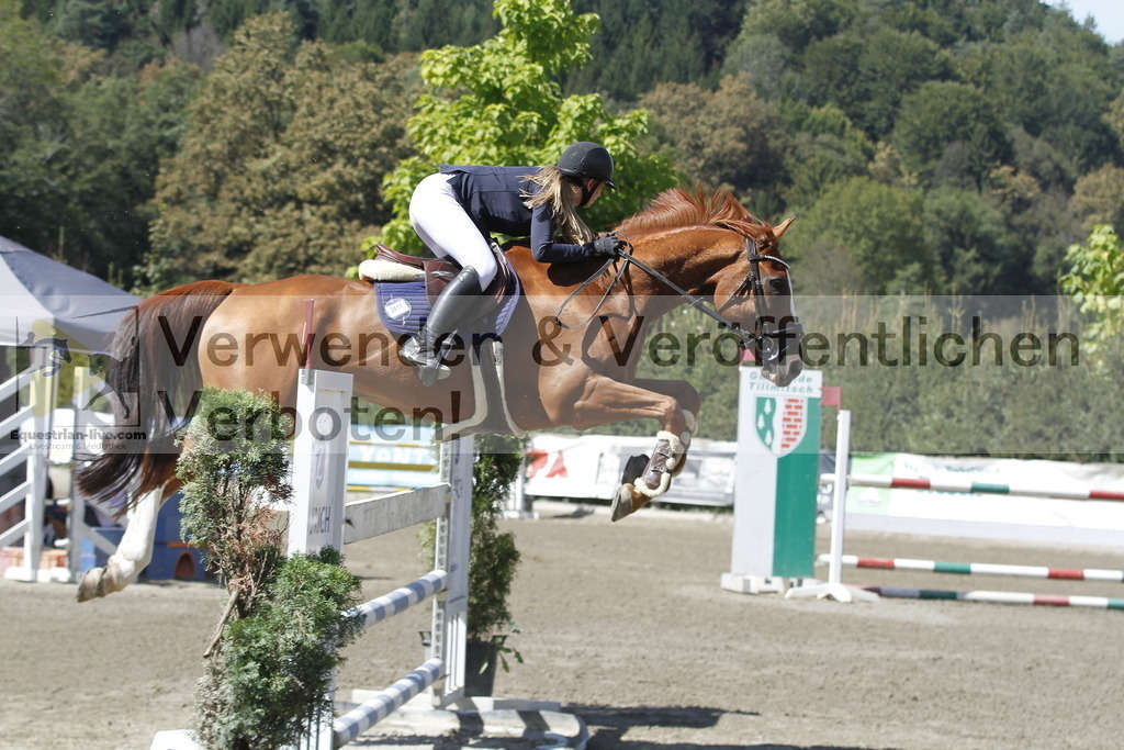 _MG_6208 | equestrian-live-com