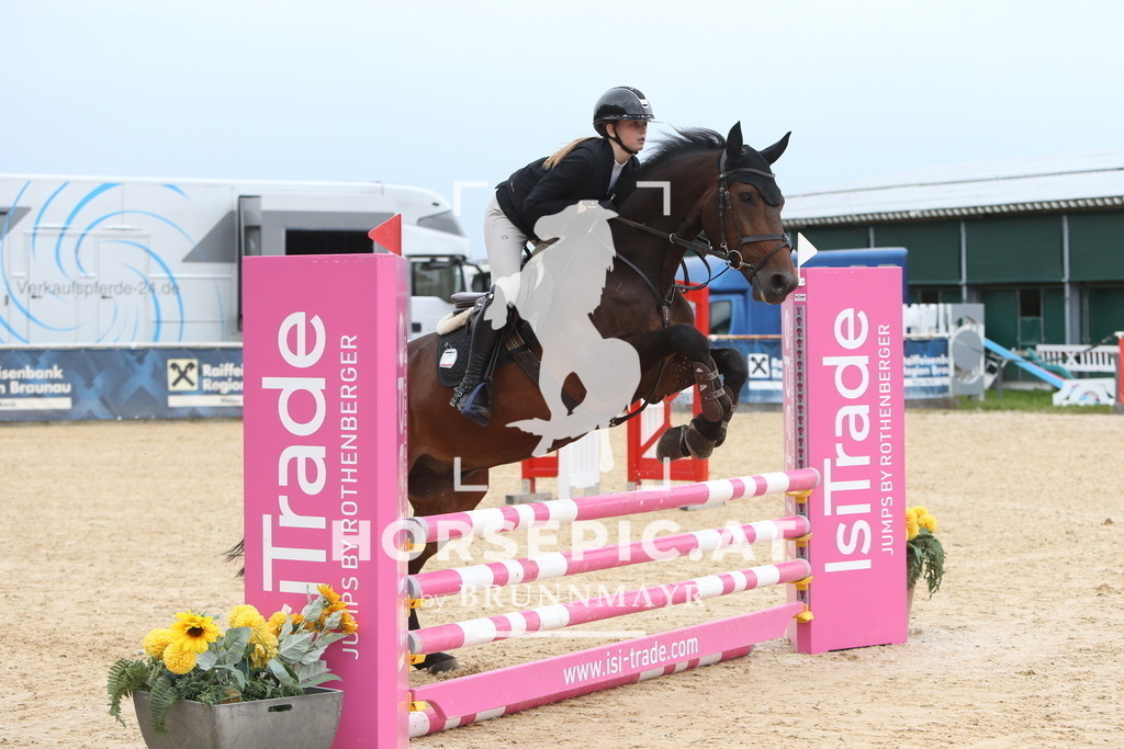 DL2Q0807 | Willkommen bei Brunnmayr - Design & Fotografie – Ihrem Spezialisten für Reitturniere und Pferdeveranstaltungen in Oberösterreich, Salzburg und Bayern! Seit über 17 Jahren sind wir leidenschaftlich dabei.