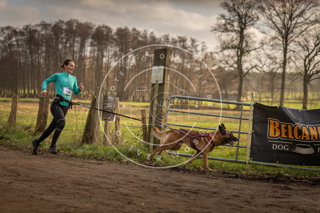 Pfotenfotografie_DV3A4566 | Hundefotografie, Tierfotograf, Pfotenfotografie, Fotoshooting Hund, Hunde Portrait, Hundesport, Hundeportraits, Heideshooting, Hunde, Sportfotograf, Hundefotograf, Turnierhundsport, THS,  - Realisiert mit Pictrs.com