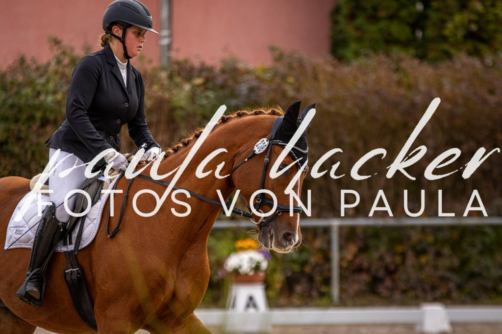 IMG_3033 | Erleben Sie dynamische Sport- und emotionale Tierfotografie in Süddeutschland mit Fotos von Paula. Spezialisiert auf Pferde- und Hundefotografie sowie Sportevents. Kontaktieren Sie mich für einzigartige und ausdrucksstarke Bilder Ihrer besonderen Momente. - Realisiert mit Pictrs.com