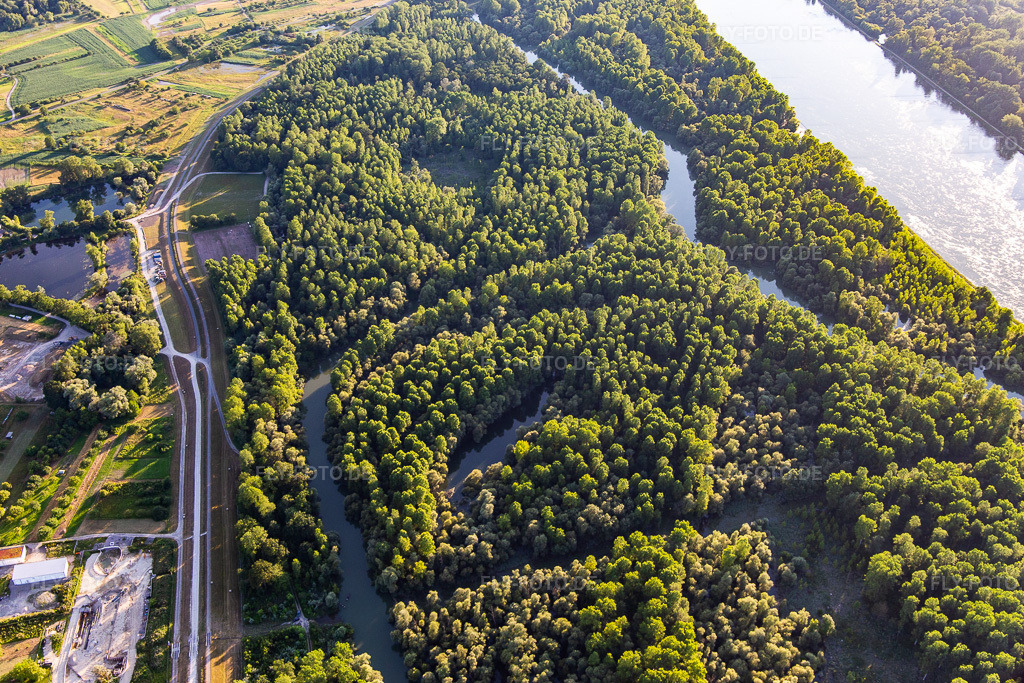 Luftbild: Altrhein bis zur Panzerbrücke in Au am Rhein im Bundesland Baden-Württemberg in Deutschland. Foto: IMG_141935.jpg vom 28.06.2024 durch Werner Riehm/FLY-FOTO.de