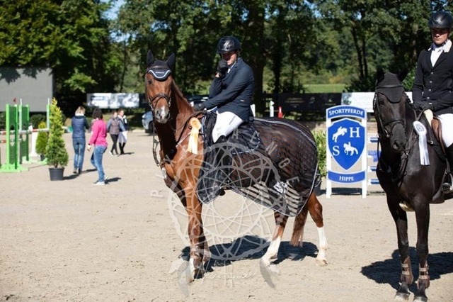 2B4A0525 | pixelfaenger - Realisiert mit Pictrs.com