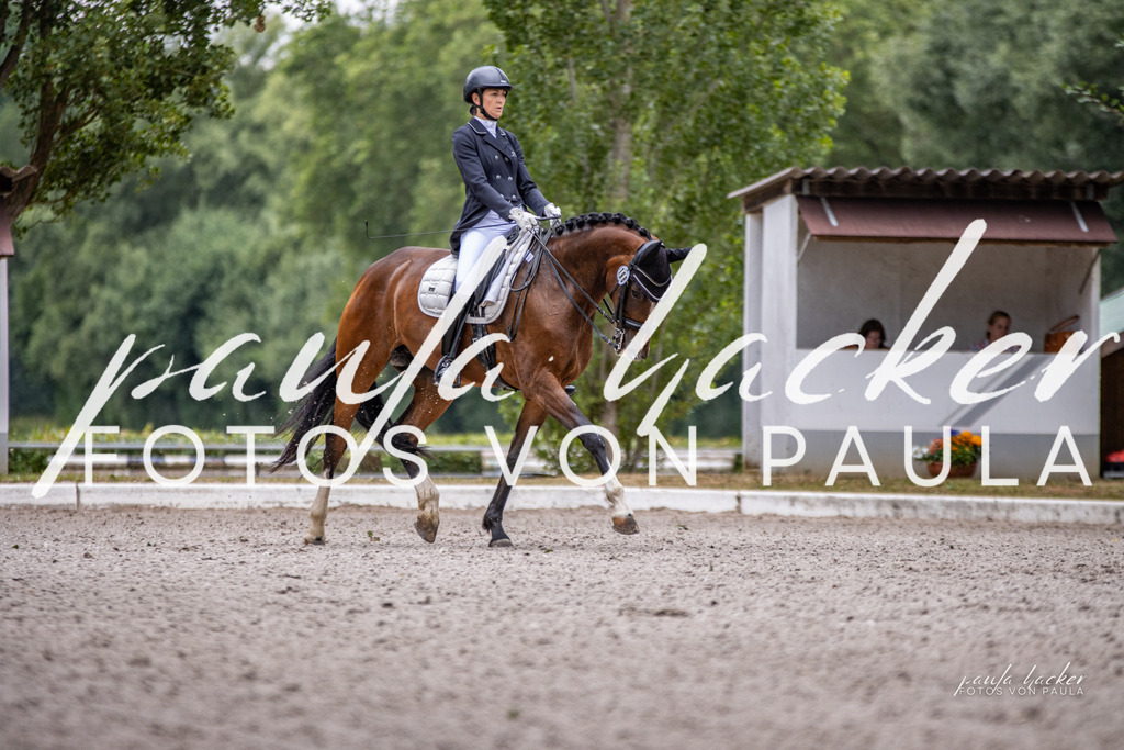 IMG_6281 | Erleben Sie dynamische Sport- und emotionale Tierfotografie in Süddeutschland mit Fotos von Paula. Spezialisiert auf Pferde- und Hundefotografie sowie Sportevents. Kontaktieren Sie mich für einzigartige und ausdrucksstarke Bilder Ihrer besonderen Momente. - Realisiert mit Pictrs.com