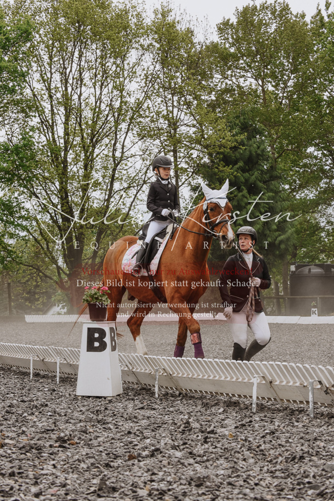 20230514_JK-Röhrsdorf-25-072 | Pferde- und Turnierfotografie in Westsachsen. Pferdeportraits, Auftragszeichnungen und intuitive Kunst.