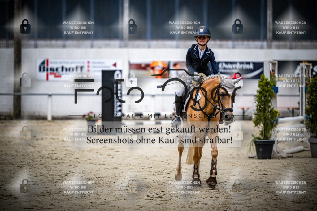 Turnier Laggenbeck 2026-15-0115 | Entdecke hochwertige Reitturnierfotos von Foto Oger. Professionell, emotional und authentisch – jetzt Lieblingsmomente im Shop bestellen.Deutschlandweite Turnierfotografie. - Realisiert mit Pictrs.com