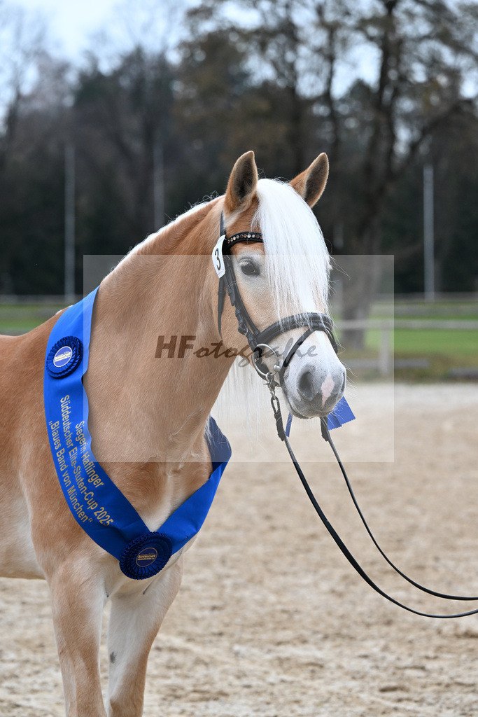 Bl. Band Kat-Nr. 3 Lorena v. Sterlington_Weber_48251722 | hf-fotografie - Realisiert mit Pictrs.com