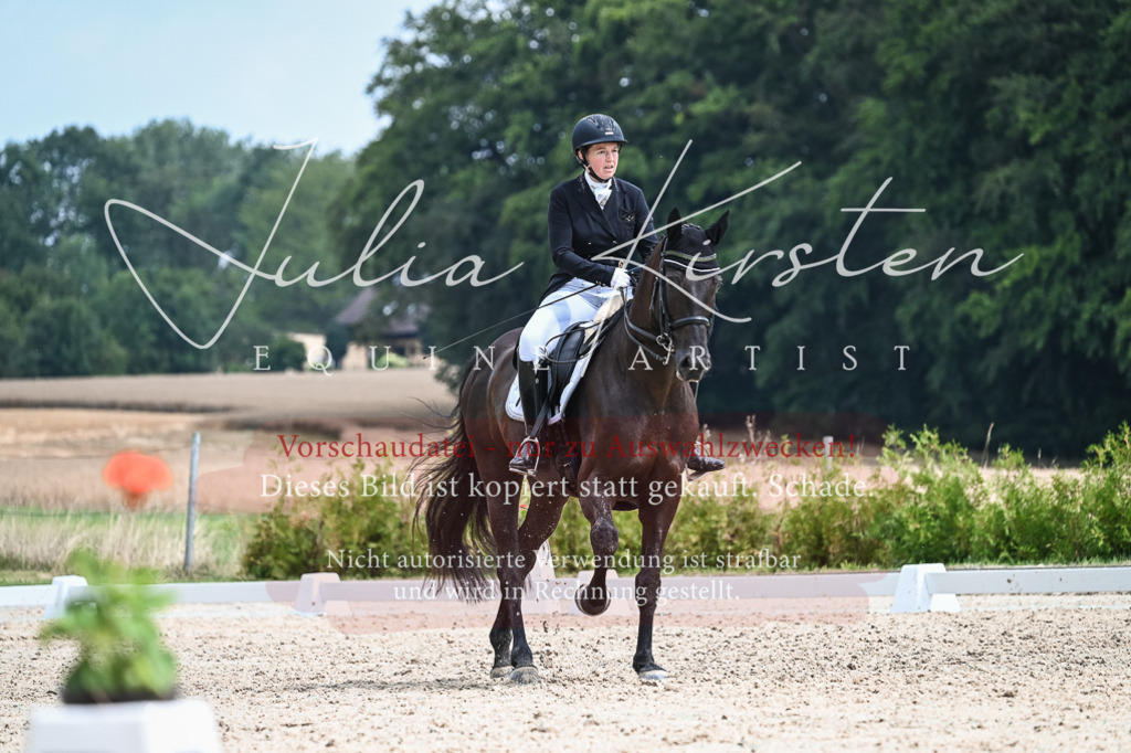 DSC_2536 | Pferde- und Turnierfotografie in Westsachsen. Pferdeportraits, Auftragszeichnungen und intuitive Kunst.