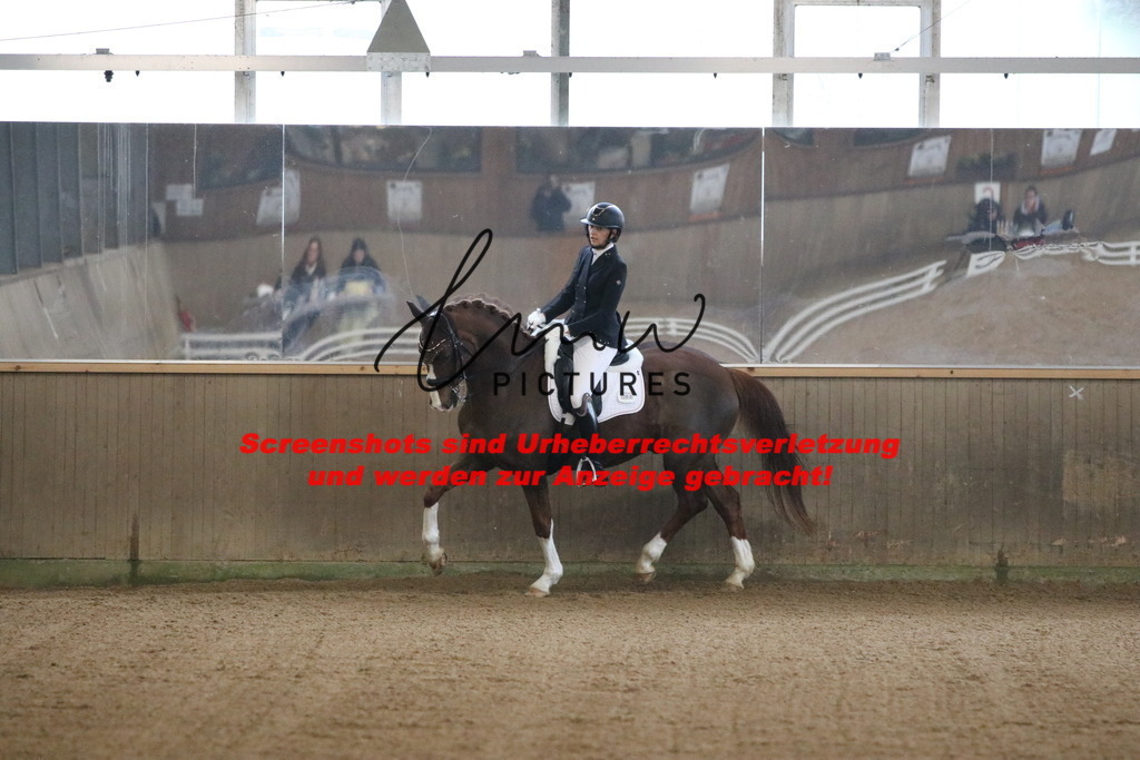 IMG_9267 | lmwpictures - Realisiert mit Pictrs.com