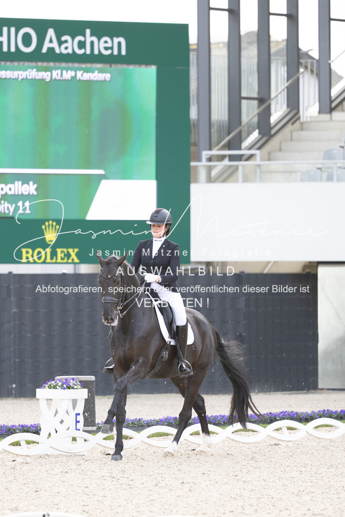 126A4581 | jasminmetznerfotografie