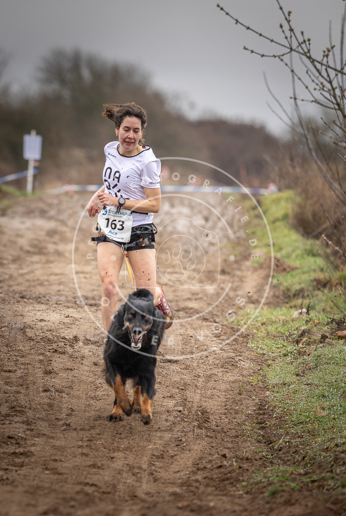 DV3A9607 | Hundefotografie, Tierfotograf, Pfotenfotografie, Fotoshooting Hund, Hunde Portrait, Hundesport, Hundeportraits, Heideshooting, Hunde, Sportfotograf, Hundefotograf, Turnierhundsport, THS,  - Realisiert mit Pictrs.com