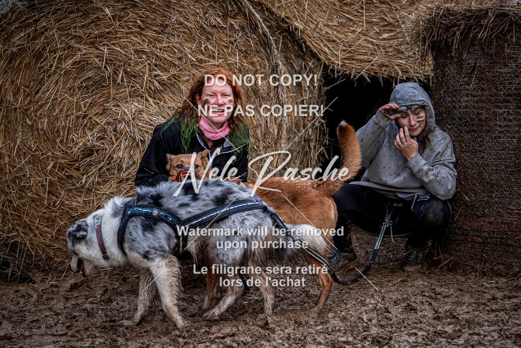 nelerasche_Hunsrück_So09-11_306 | nelerasche