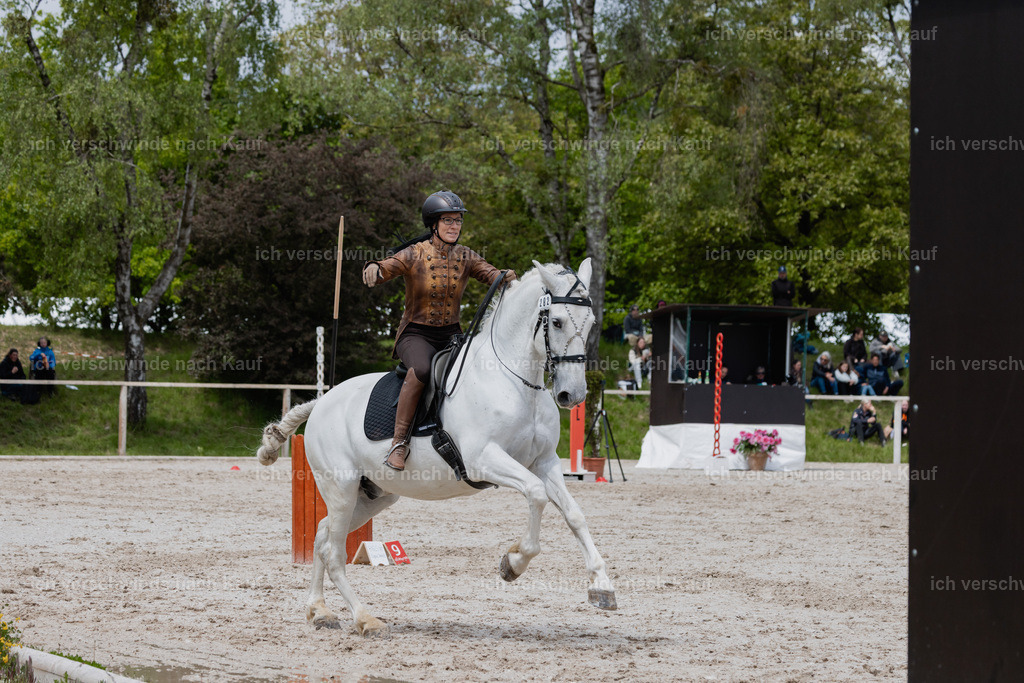 PI26_SP_StoibphotographyC2_C1493.jpg | working equitationturnier fotograf videograf stoibphotography marixx film working equitation deutschland reitsport turnierfotografie eventfotografie equestrian events