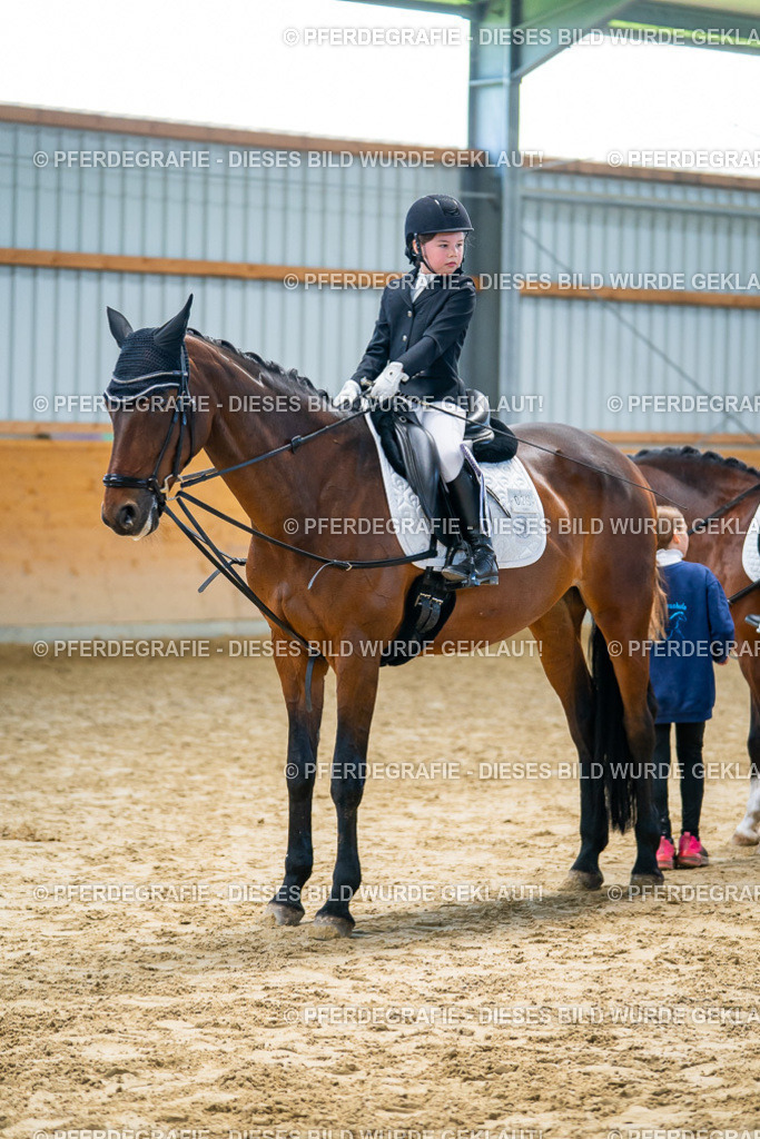 DSC01184 | Pferdegrafie