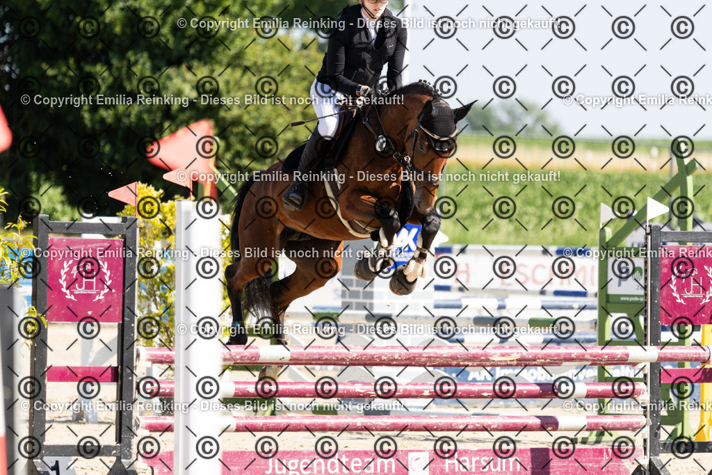 CL5A3014 | Emilia Reinking Fotografie - Realisiert mit Pictrs.com