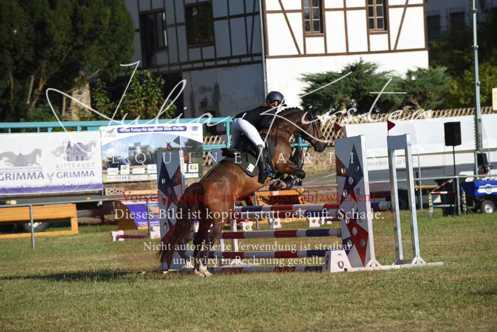 DSC_5107 | Pferde- und Turnierfotografie in Westsachsen. Pferdeportraits, Auftragszeichnungen und intuitive Kunst.