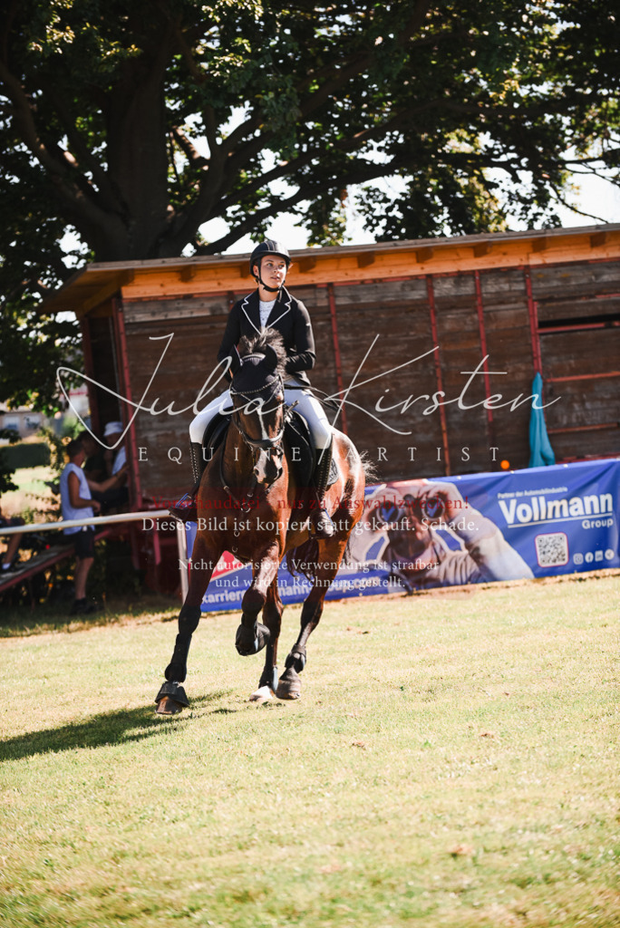 DSC_2501 | Pferde- und Turnierfotografie in Westsachsen. Pferdeportraits, Auftragszeichnungen und intuitive Kunst.