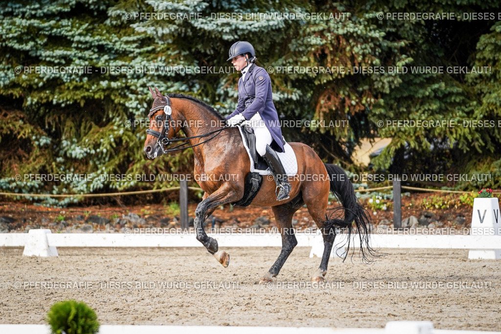 DSC00339 | Pferdegrafie