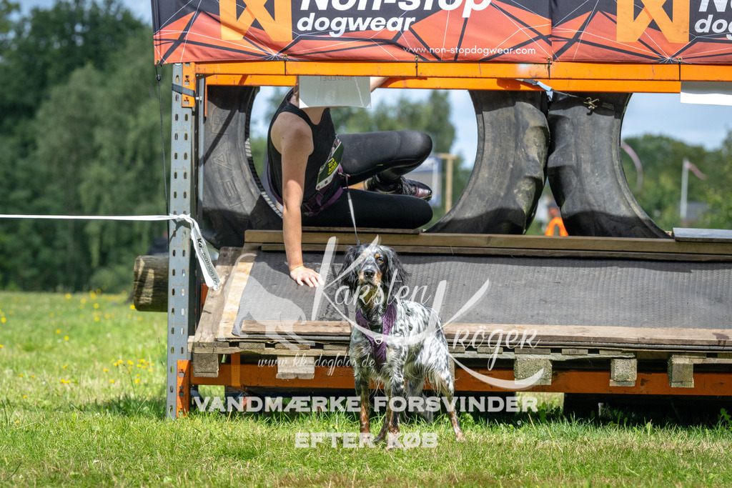 1212_ZZ93627 | kk-dogfotos