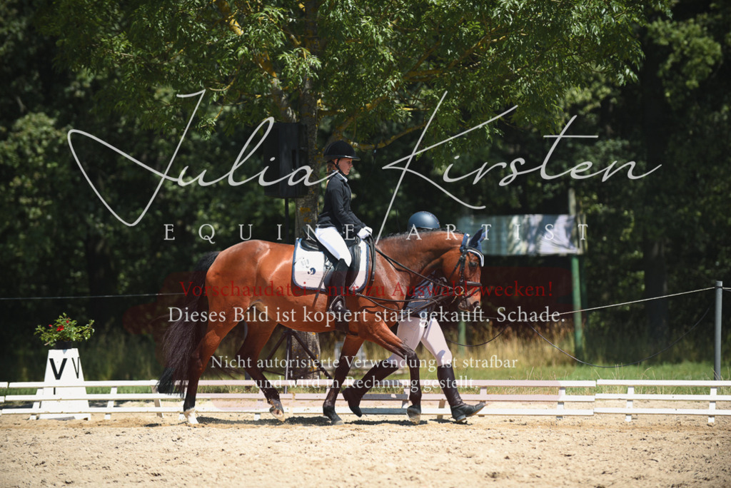 DSC_1842 | Pferde- und Turnierfotografie in Westsachsen. Pferdeportraits, Auftragszeichnungen und intuitive Kunst.