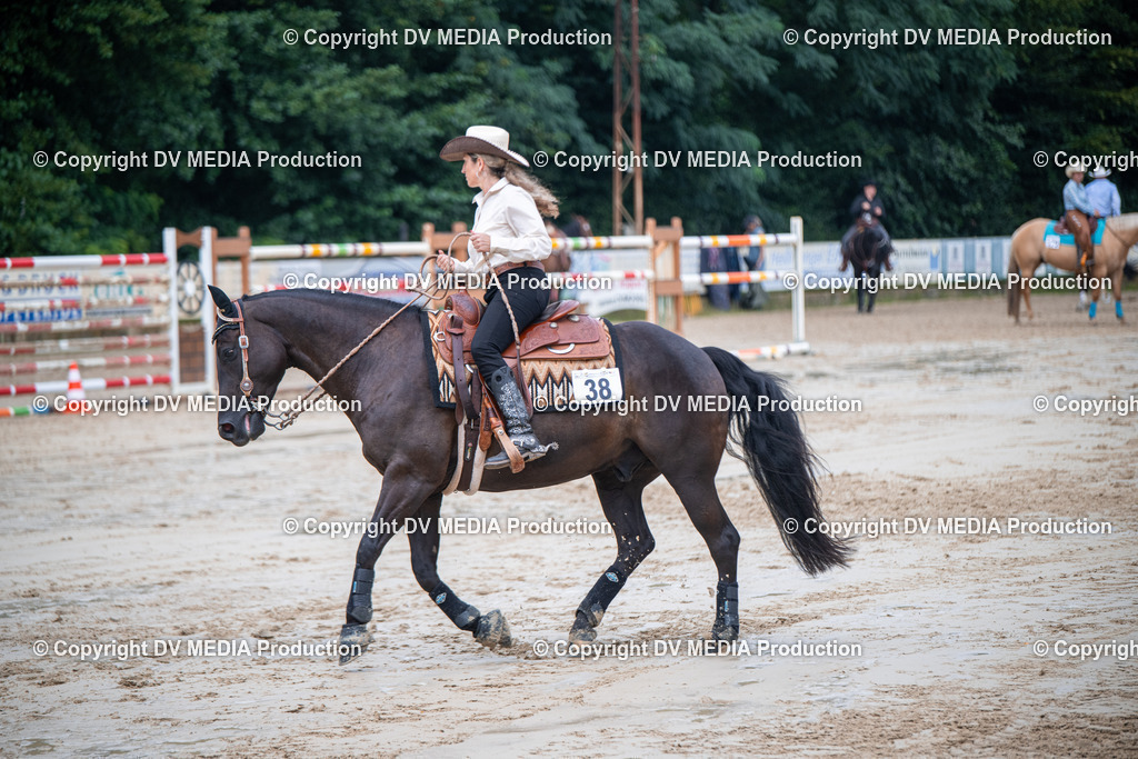 ZS2_4230 | dv-media-shop - Realisiert mit Pictrs.com