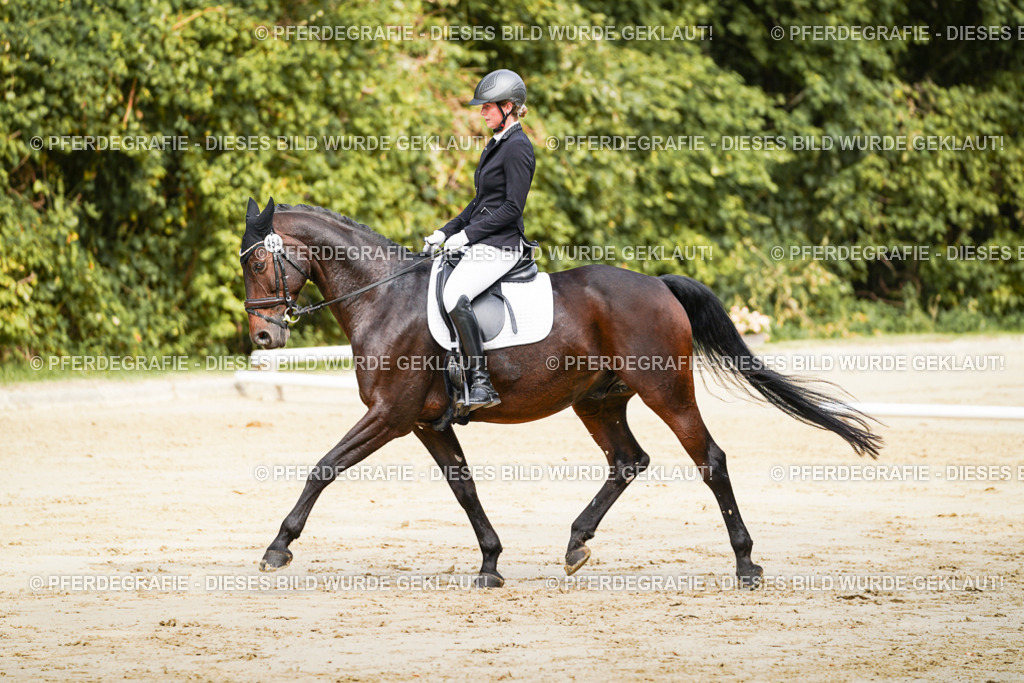 DSC01636 | Pferdegrafie