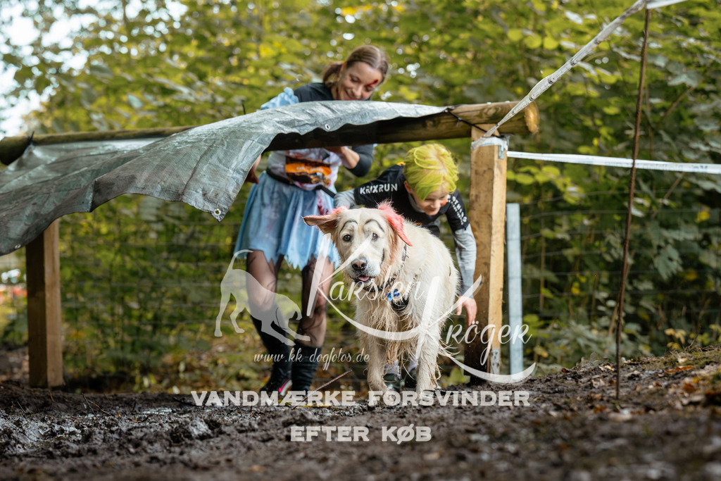 1424DZ6_1838Z6 | kk-dogfotos