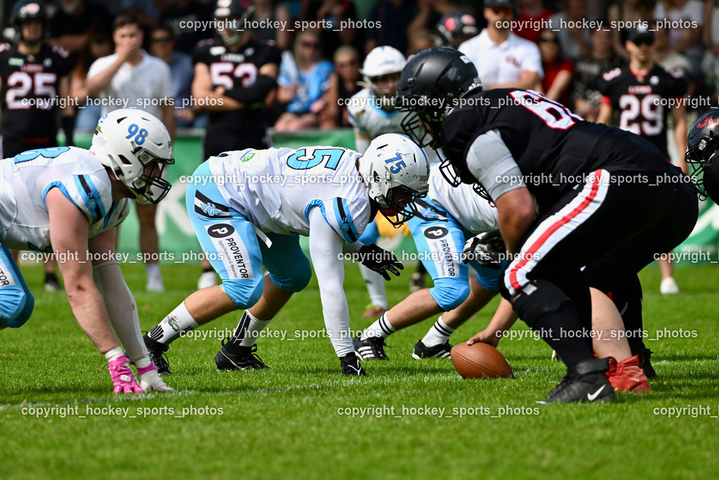 Carinthian Lions vs. Styrian Bears | Carinthian Lions vs. Styrian Bears, Carinthian Lions vs. Styrian Bears am 20.05.2024 in Klagenfurt (ASV Sportplatz), Austria, (Photo by Bernd Stefan)