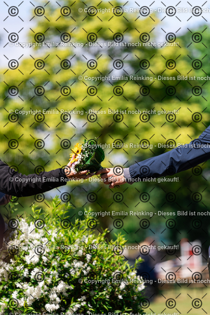 CL5A5791 | Emilia Reinking Fotografie - Realisiert mit Pictrs.com