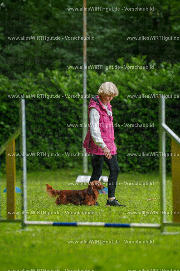 @allesWIRTHgut_Tierfotografie - www.allesWIRTHgut.de - 090717-7R506522 | Professionelle Tierfotografie in Mönchengladbach von Daniel Wirth (allesWIRTHgut). Liebevolle & natürliche Bilder von Hunden & Katzen für unvergessliche Erinnerungen.