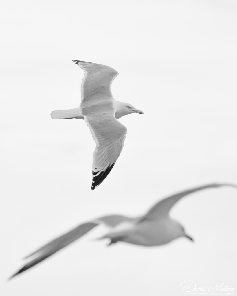 Etretat | Etretat in Frankreich (Normandie)