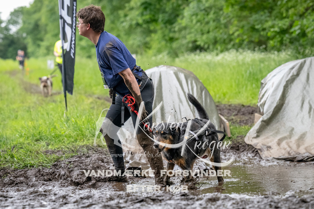 1554_ZZ91073-Bearbeitet | kk-dogfotos