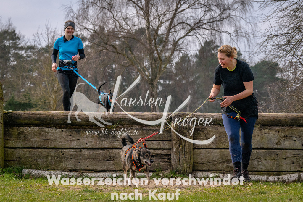 _ZZ91388 | kk-dogfotos