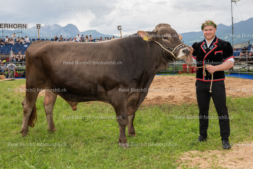 BR_07206 | René Burch leidenschaftlicher Fotograf aus Kerns in Obwalden.  Hier finden sie Sport, Landschaft und Natur Fotografie.
 - Realisiert mit Pictrs.com