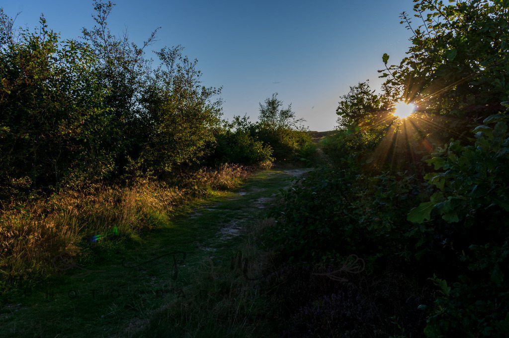 IMGP0483 | Nationalpark Thy - Realisiert mit Pictrs.com