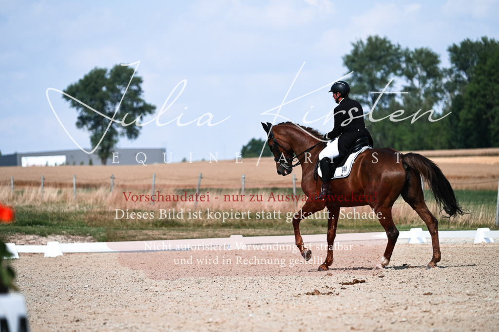 DSC_3271 | Pferde- und Turnierfotografie in Westsachsen. Pferdeportraits, Auftragszeichnungen und intuitive Kunst.