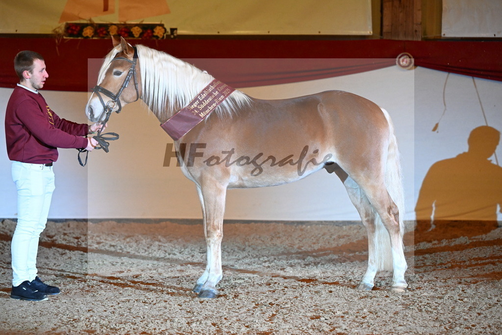 Stavaro_3262756 | hf-fotografie - Realisiert mit Pictrs.com