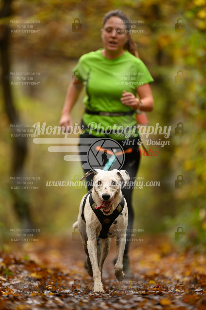 MompixPhotography_CD7S_DI_CCL-64 | mompixphotography