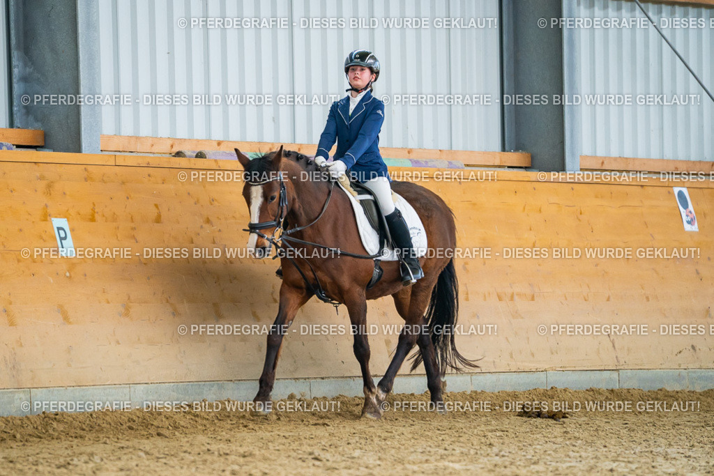 DSC01108 | Pferdegrafie