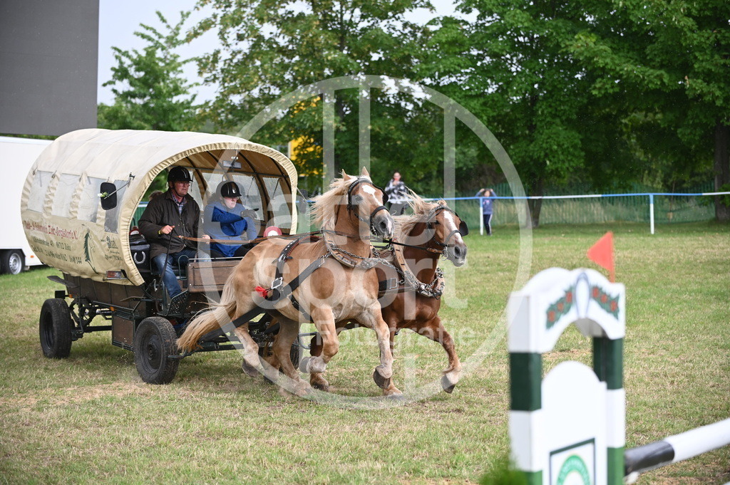 DSC_8725 | sattelsport - Realisiert mit Pictrs.com