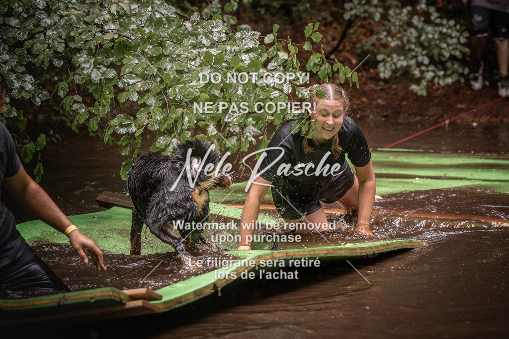 nelerasche_Wingst_Sa1330-1400_151 | nelerasche