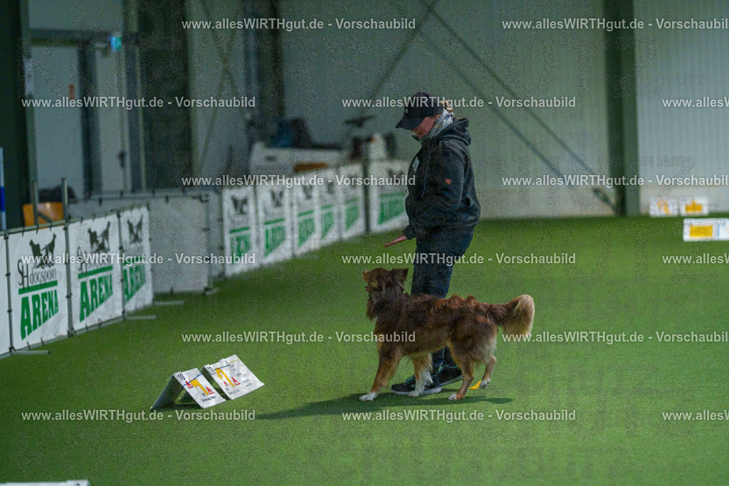 7R502812 | Professionelle Tierfotografie in Mönchengladbach von Daniel Wirth (allesWIRTHgut). Liebevolle & natürliche Bilder von Hunden & Katzen für unvergessliche Erinnerungen.