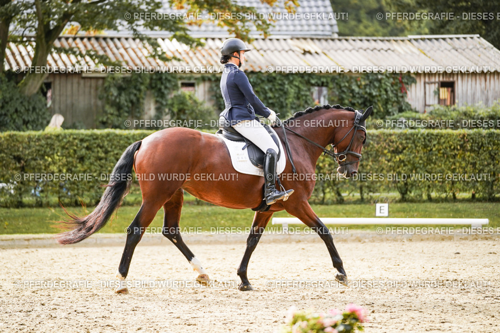 DSC09370 | Pferdegrafie