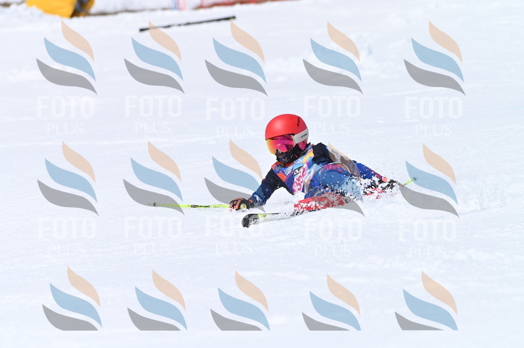 BGV_3679 | holidayphoto