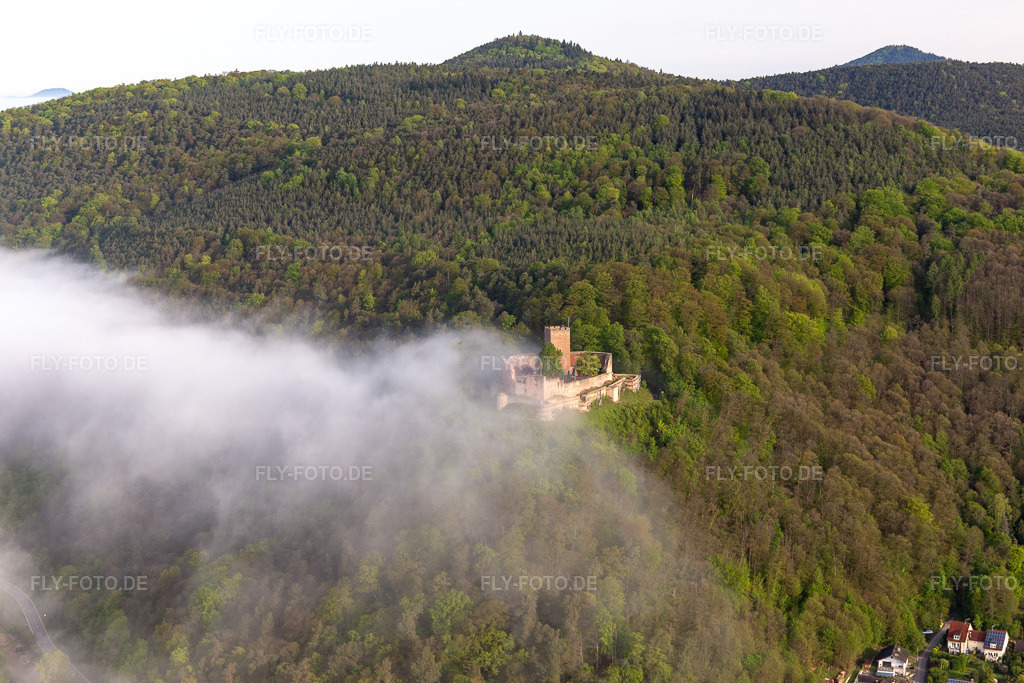 Luftbild: Burg Landeck im Morgennebel in Klingenmünster im Bundesland Rheinland-Pfalz in Deutschland. Foto: IMG_113754.jpg vom 29.04.2019 durch Werner Riehm/FLY-FOTO.de