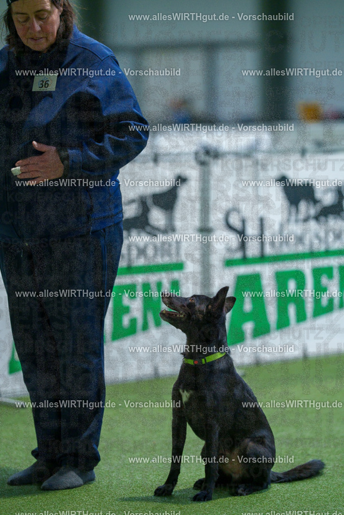 7R505998 | Professionelle Tierfotografie in Mönchengladbach von Daniel Wirth (allesWIRTHgut). Liebevolle & natürliche Bilder von Hunden & Katzen für unvergessliche Erinnerungen.