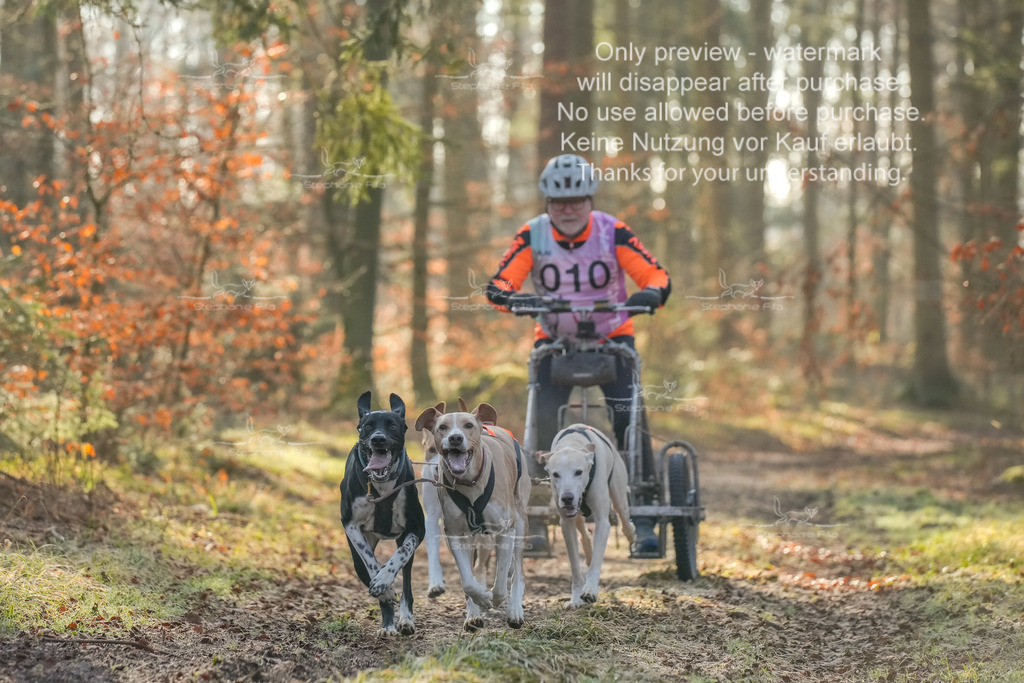 So_Gespanne-2 | stephaniefillaphotographie - Realisiert mit Pictrs.com