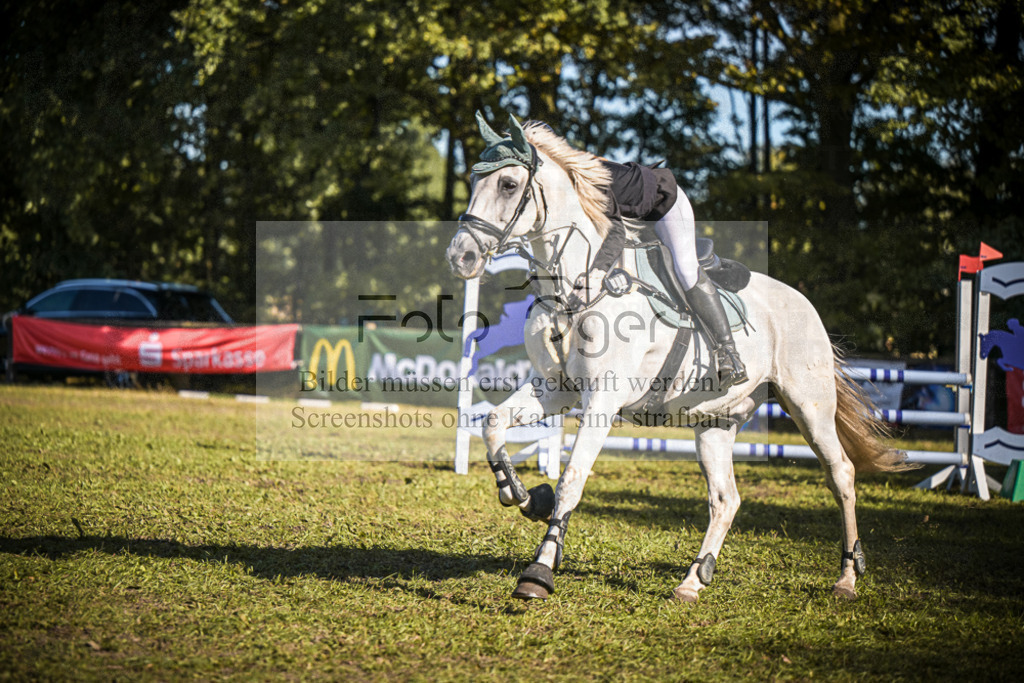 DOS_1052 | Entdecke hochwertige Reitturnierfotos von Foto Oger. Professionell, emotional und authentisch – jetzt Lieblingsmomente im Shop bestellen.Deutschlandweite Turnierfotografie. - Realisiert mit Pictrs.com