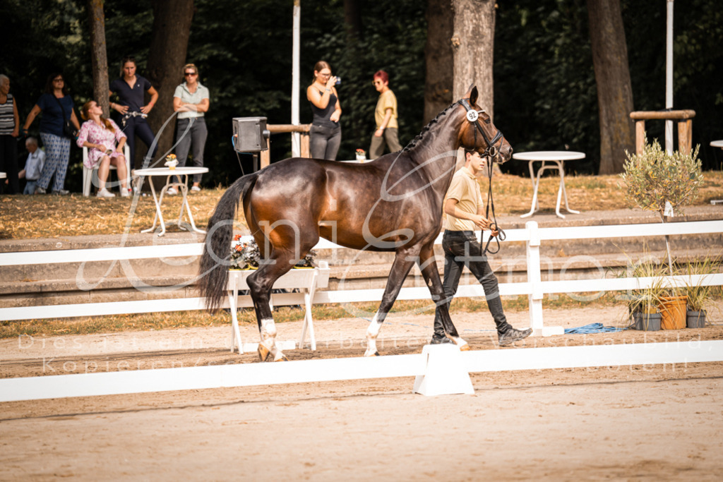 6.Fr00143 | Leoni Ertmer Photography - Realisiert mit Pictrs.com