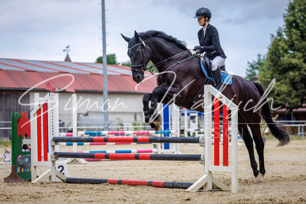 20260705-_3LI3775 | Tierfotografie Pferde, Hunde, Katzen, Haustiere.
Turnierfotografie Reitturniere, Reiten, Springreiten, Dressur in Hanau, dem Main-Kinzig-Kreis und dem Rhein-Main- Gebiet um Frankfurt